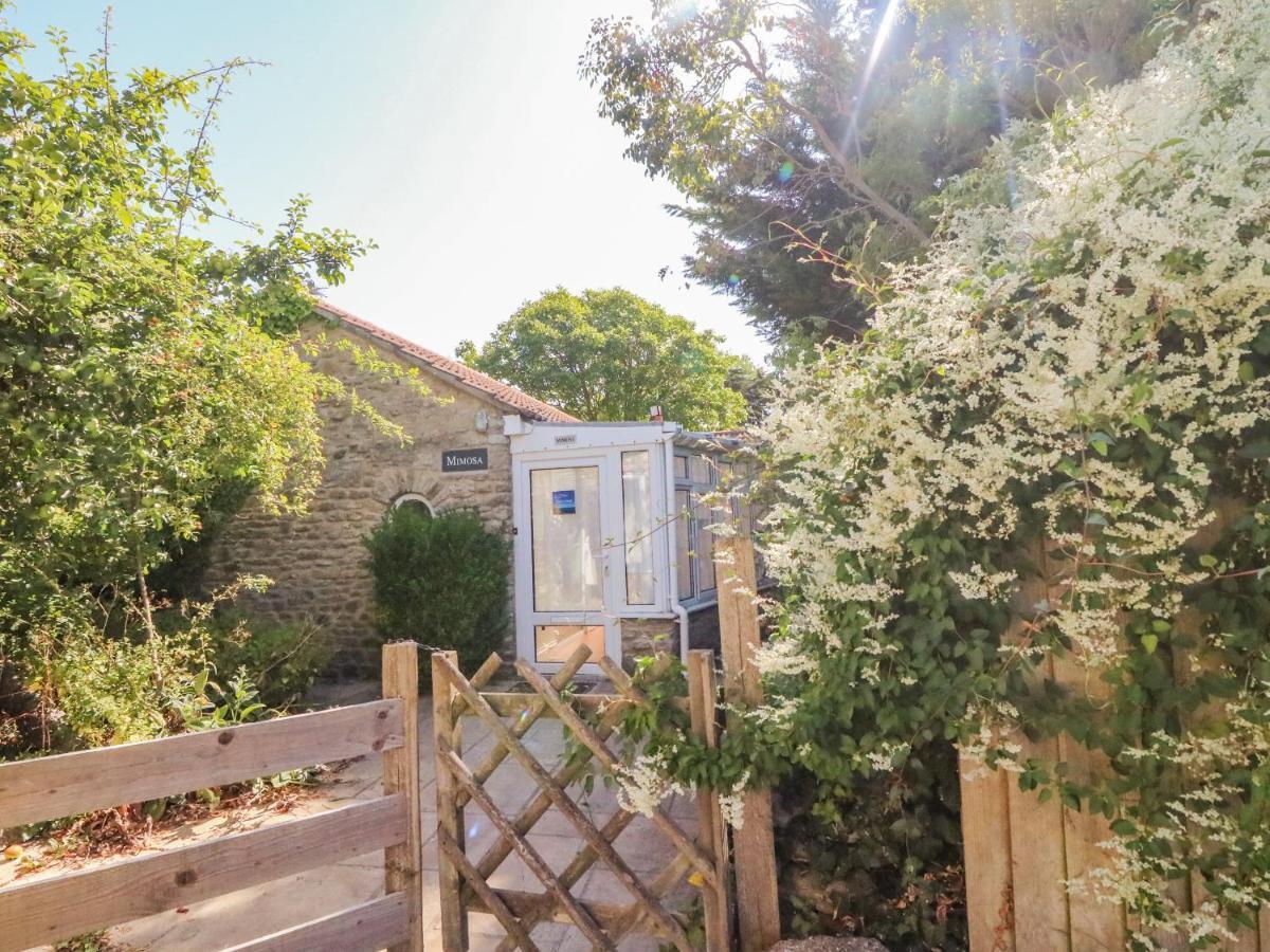 Mimosa Cottage Swyre Εξωτερικό φωτογραφία